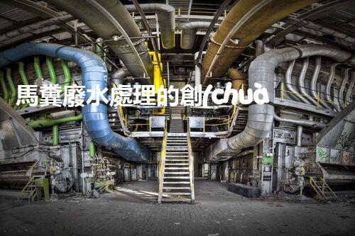 馬糞廢水處理的創(chuàng)新技術(shù)與應(yīng)用？